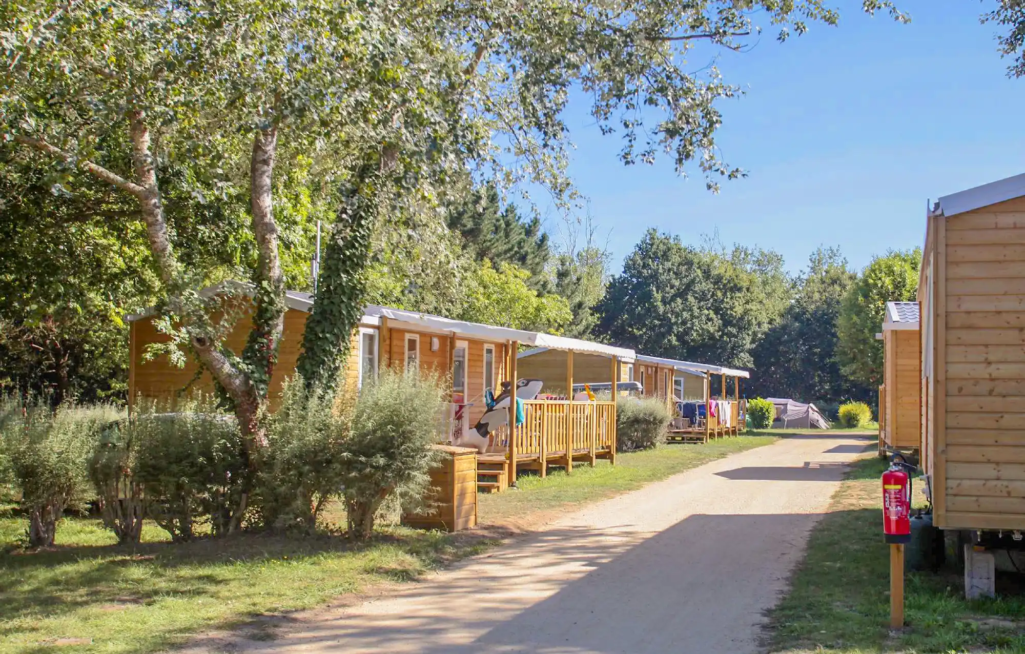 bienvenue au camping vorlen flower