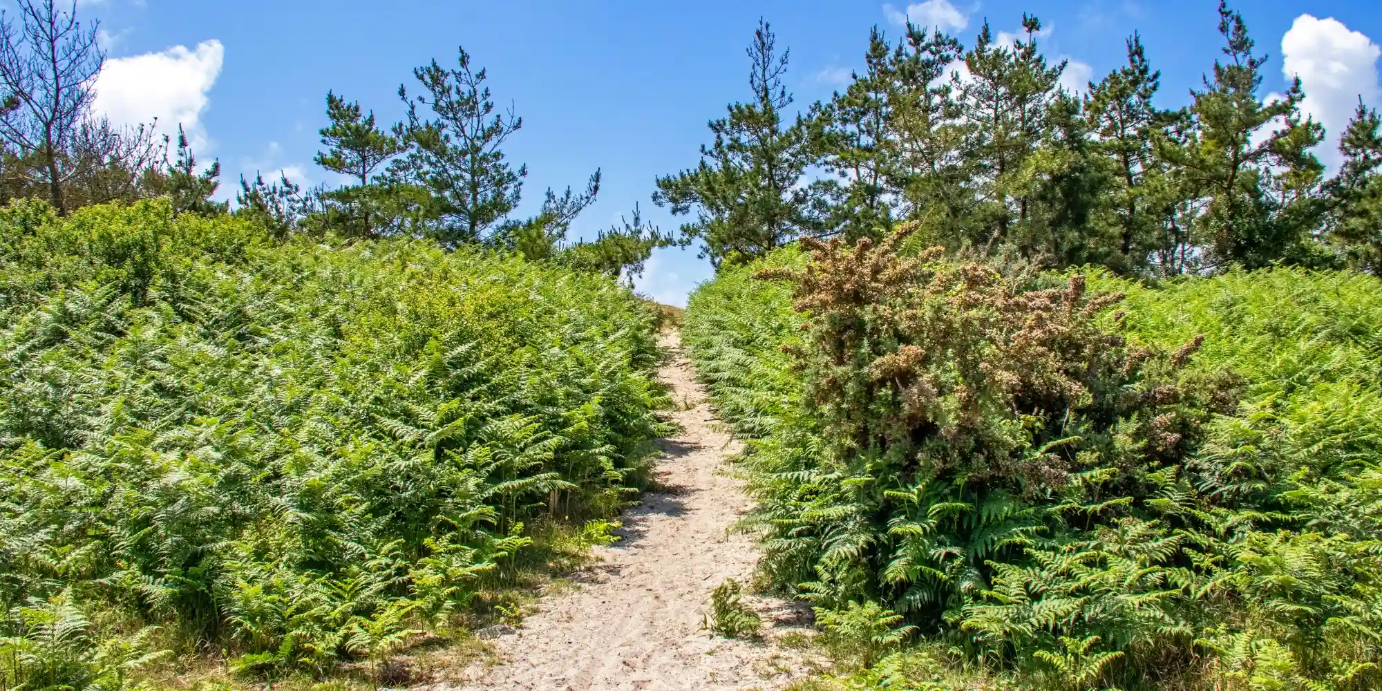 visite randonnée camping finistere